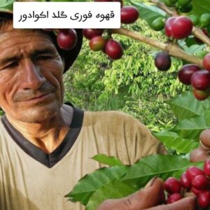گلد اکوادور img 20240810 wa0019